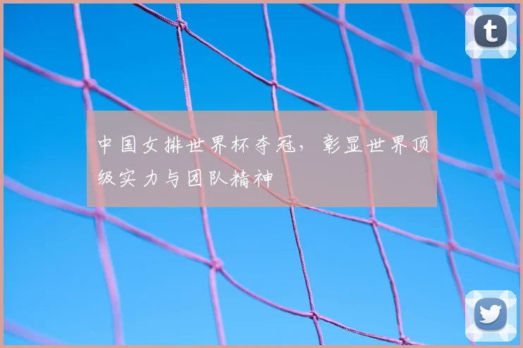 中国女排世界杯夺冠,彰显世界顶级实力与团队精神