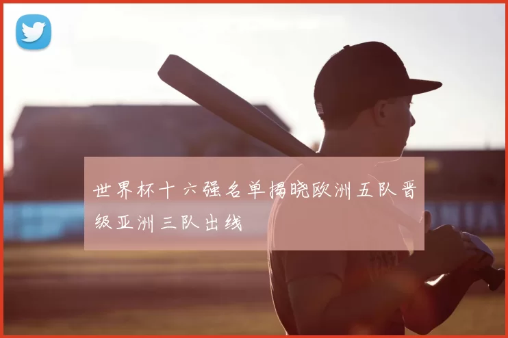 世界杯十六强名单揭晓欧洲五队晋级亚洲三队出线