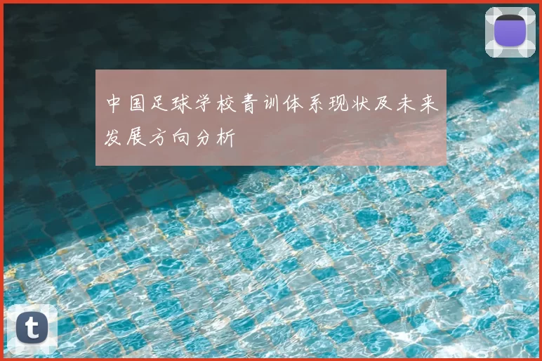 中国足球学校青训体系现状及未来发展方向分析