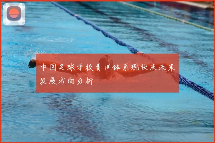 中国足球学校青训体系现状及未来发展方向分析
